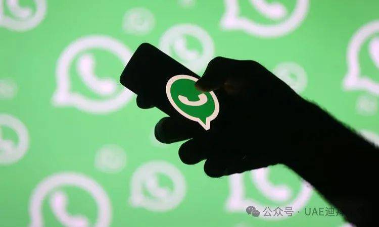 苹果whatsapp 不显示联系人