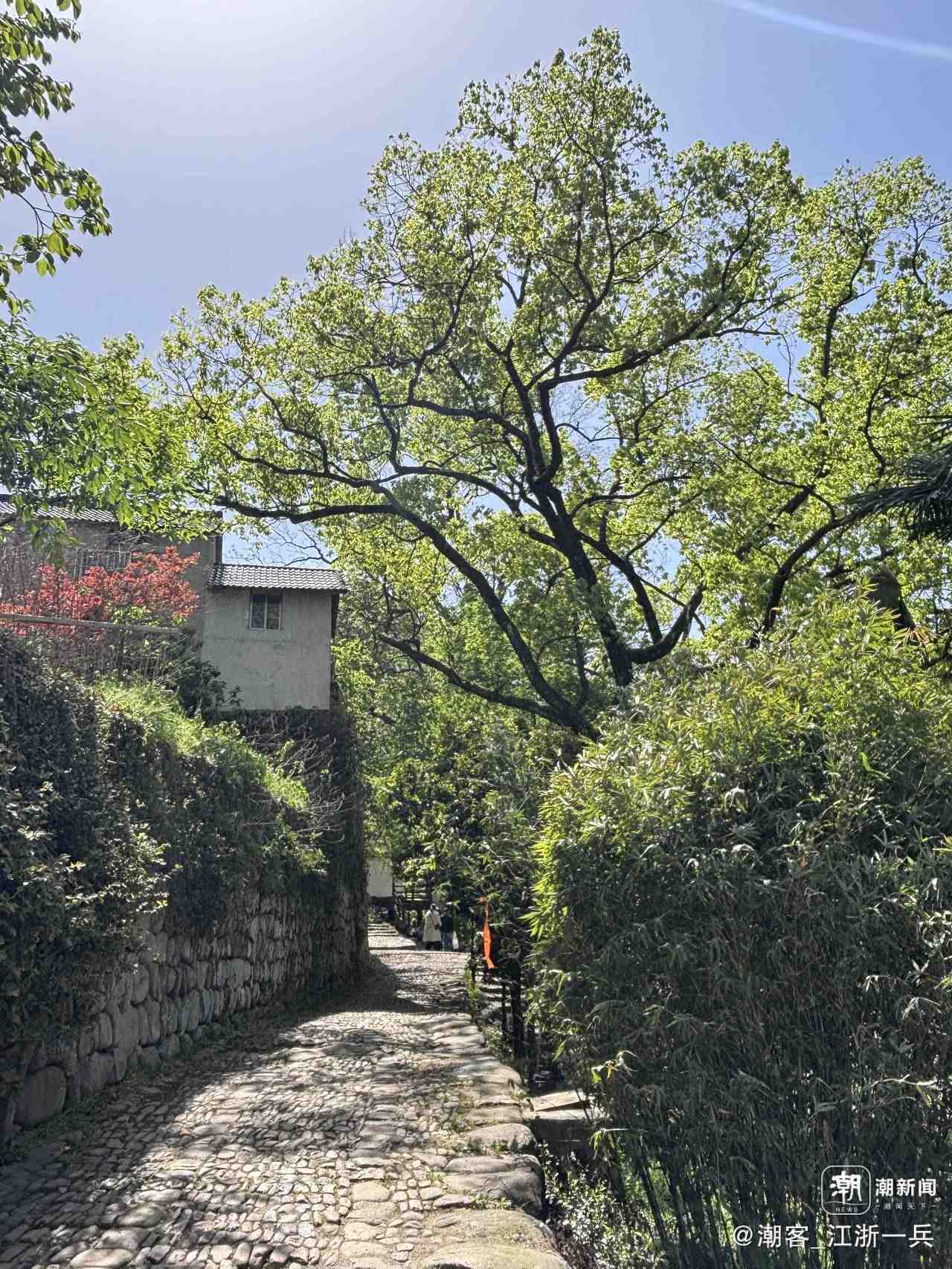 写点生活|二丫的茆坪写生之旅