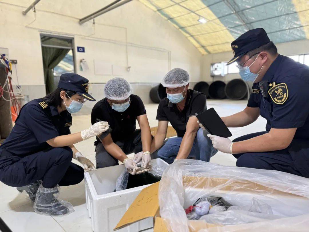 大河之洲「生物刺客」海关防护秘籍