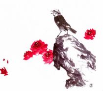 中国画技法：写意白头翁画法（白头翁怎么画简单手绘）
