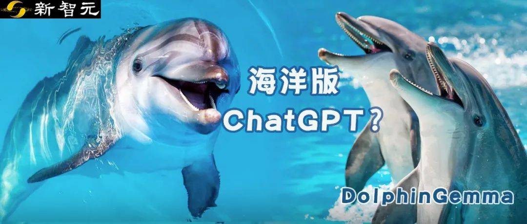 Google AI已成功发射了海豚语,这是ChatGpt版本!交换