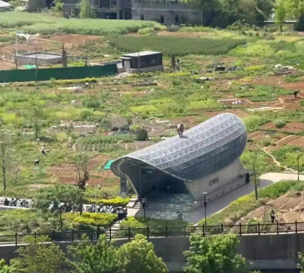 杭州一地铁口被吐槽像棺材，官方：经过专业评审论证，初衷为融入科技现代元素