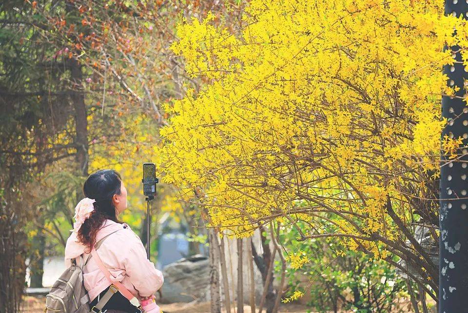 _318从哪开始走比较好_中国农业科学院专业目录