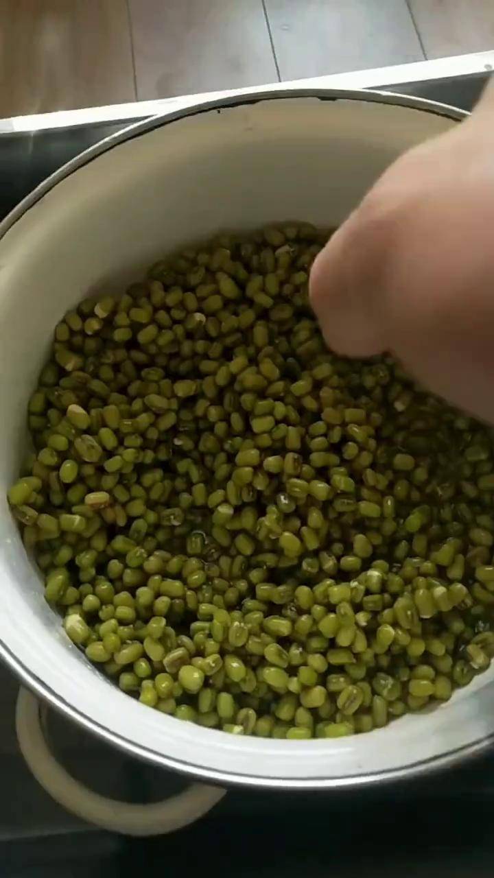 矿泉水瓶生豆芽第一天