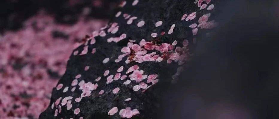 铁凝 | 哦，香雪_台儿_凤娇_姑娘