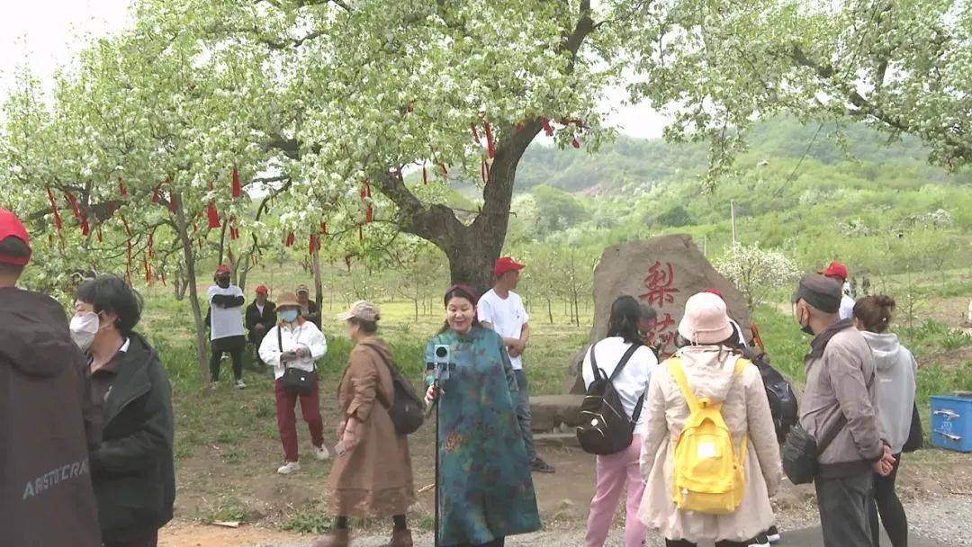 必博登录“五一”出行必看抚顺交警助您一路畅行(图12)