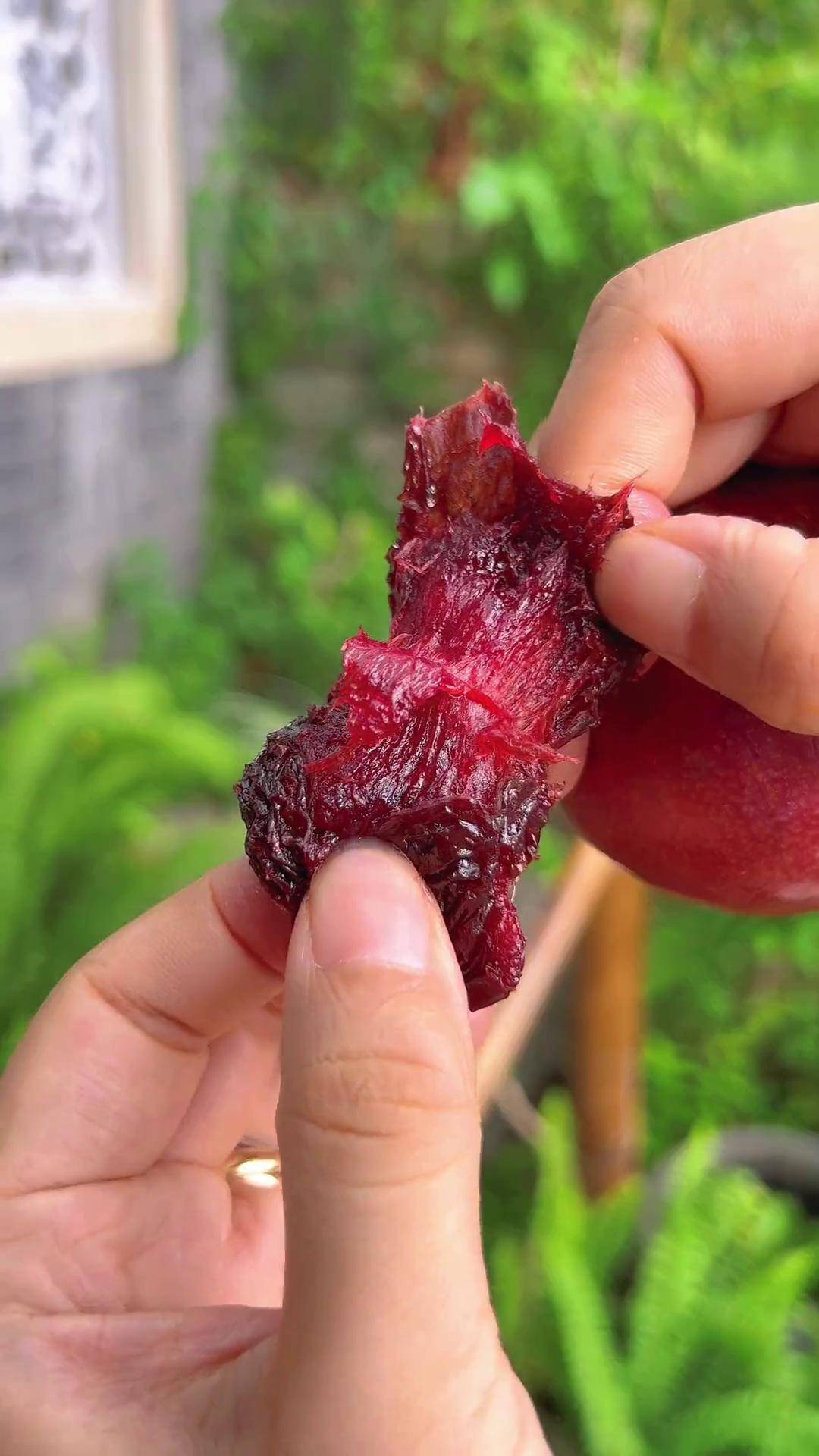 断货了很久的李子干被催了又催,新鲜永泰芙蓉李制作配料干净没有科技