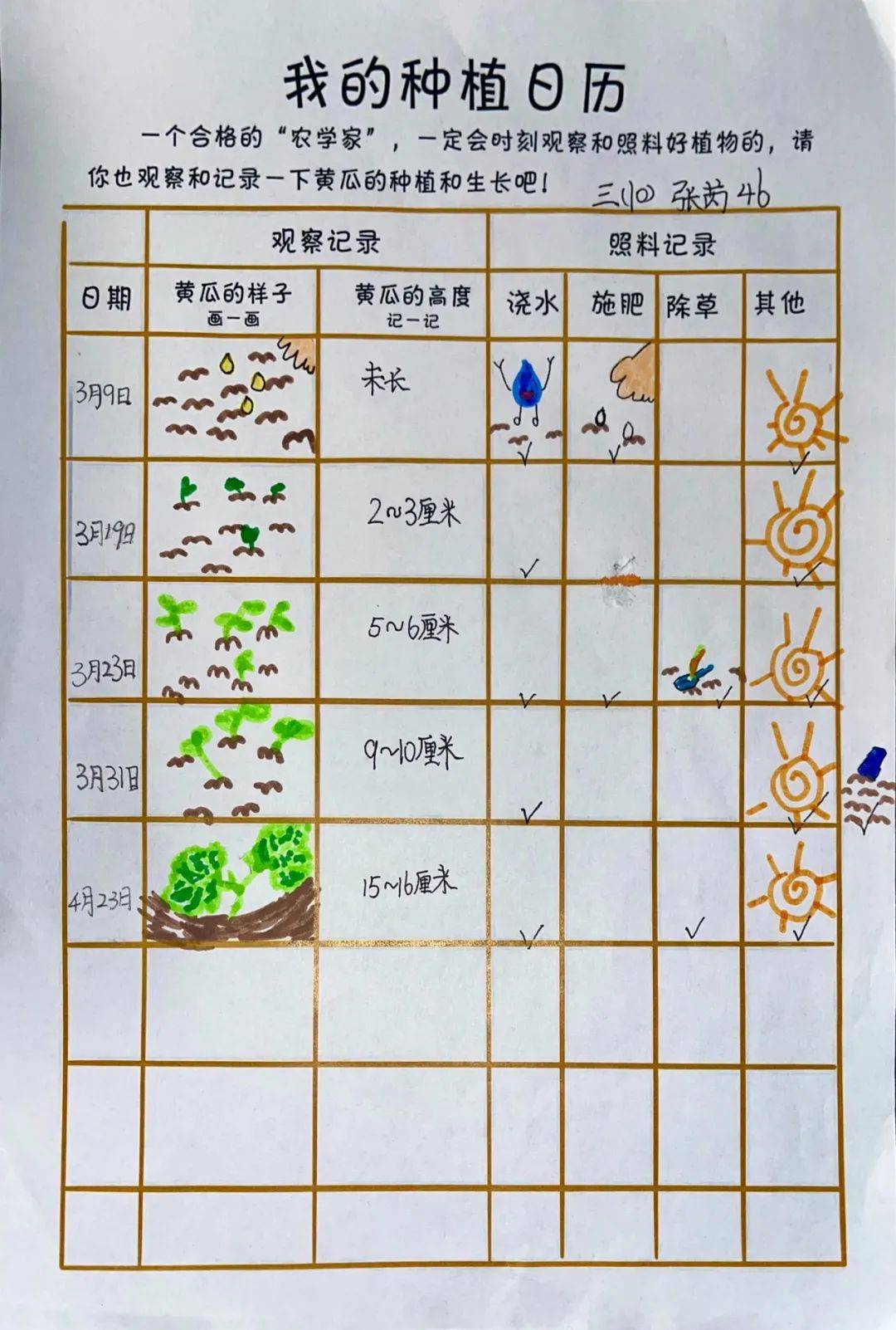 孩子们自己去调查,实践,观察,讨论,见证了种子从冒出一个白色的小芽到