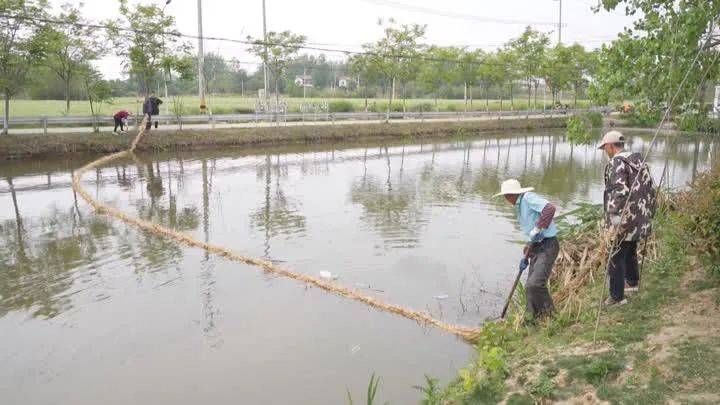 快来看美嘉体育app 胥浦河白羊村大鲍冲心河(图7)