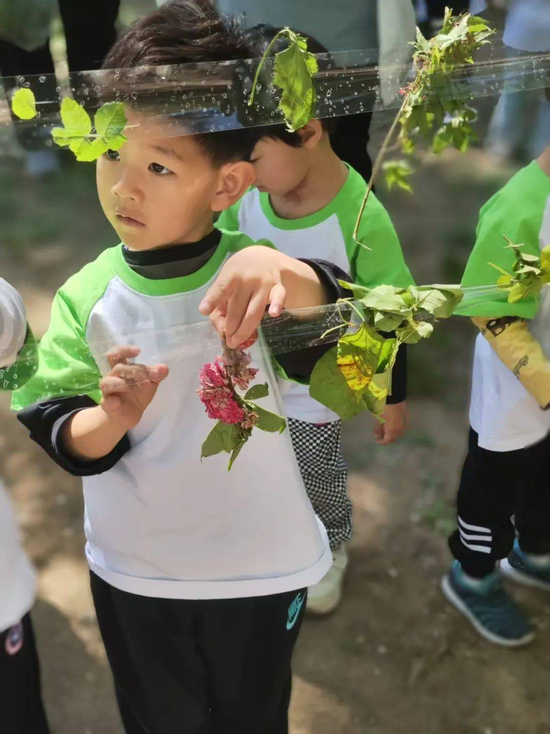 西沽公园春游活动_幼儿园秋季亲子运动会活动方案_红桥幼儿园亲子运动会