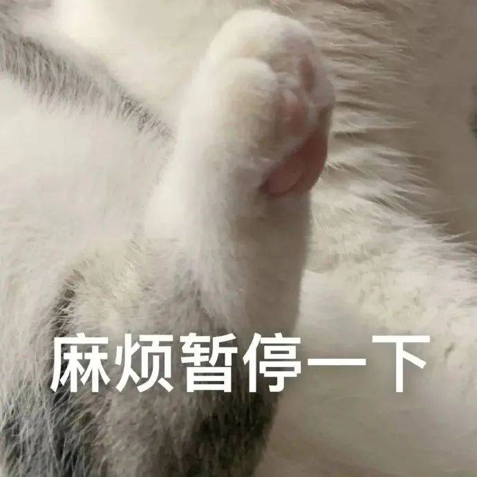 智驾真凉了？！小米更名、余承东改口！车企集体叫“辅助驾驶”……