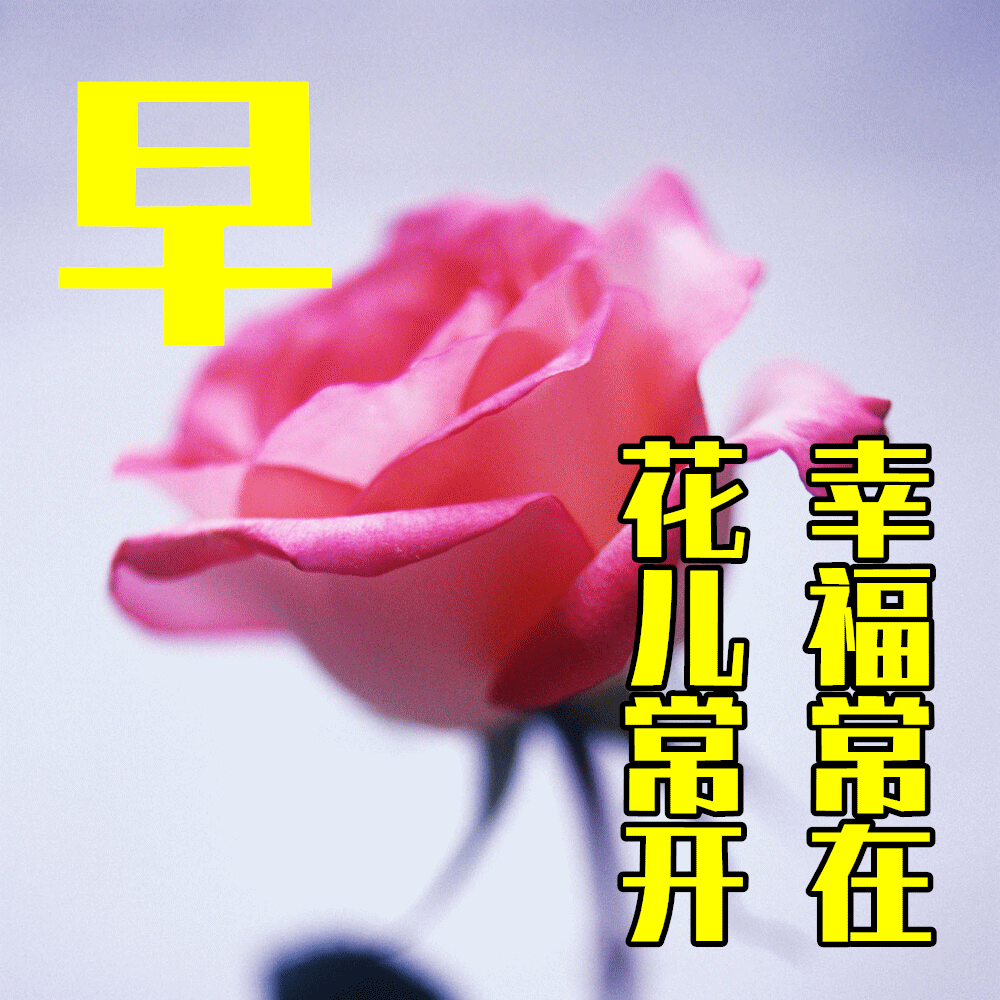 5月8日最漂亮早上好动态表情图片及早晨好动图美图大全!