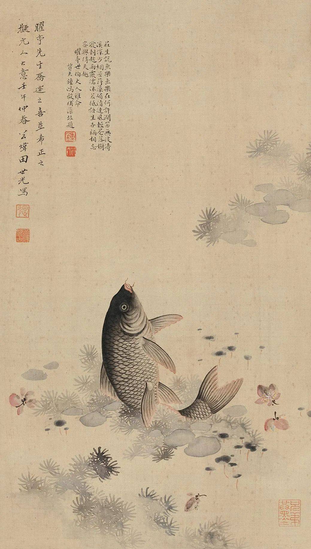 手描き 田世光 花魚図 掛軸 四尺中堂 国画| 田世光笔下的小鱼儿，真快活！_搜狐网