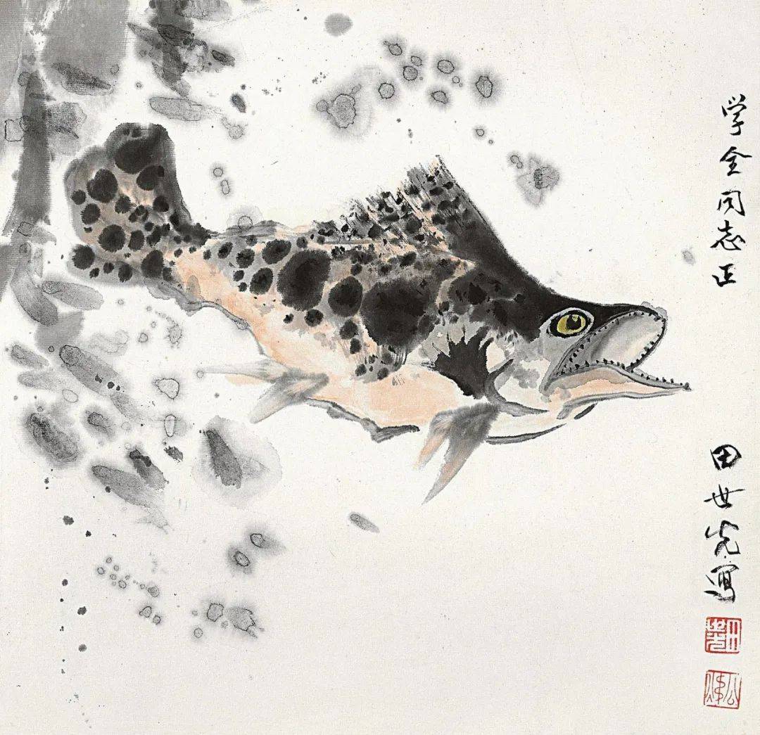 国画| 田世光笔下的小鱼儿，真快活！_搜狐网