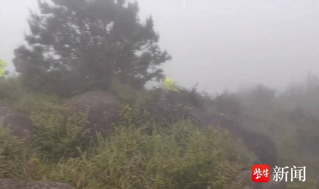 紫牛热点｜莆田8岁男童失联山上发现人体组织碎片？当地多方辟谣（福建莆田小男孩）