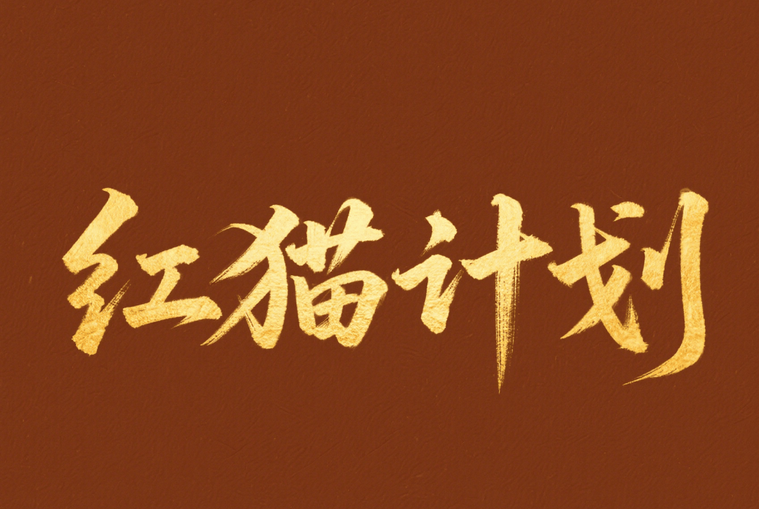 「红猫计划」，天猫和小红书在打什么主意？