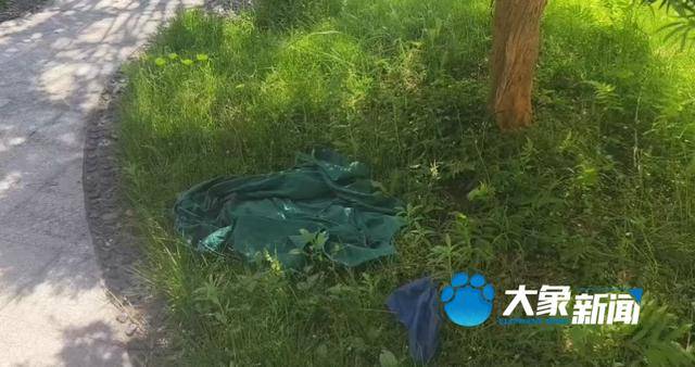 图片[2]-长沙又一代孕机构被查！被麻醉女子手术台上尚未苏醒，涉事人员直接丢下翻墙逃走-华闻时空