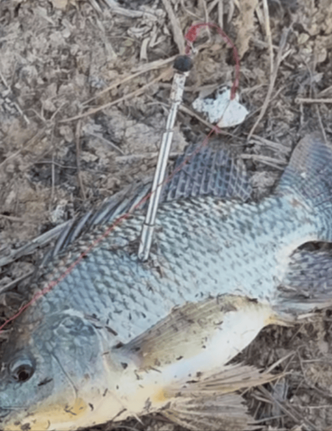 安全第一 文明亲水