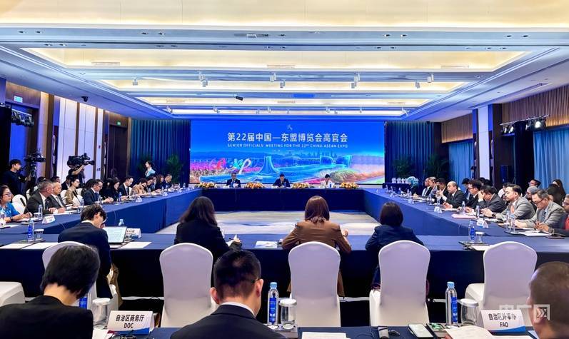 中国与东盟十国全面完成中国—东盟自贸区3.0版谈判