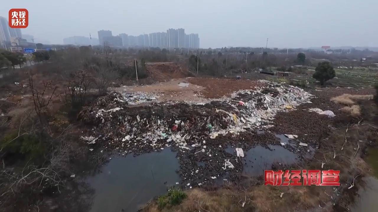 财经调查丨永久基本农田被垃圾掩埋！整改为何成“纸面工程”？