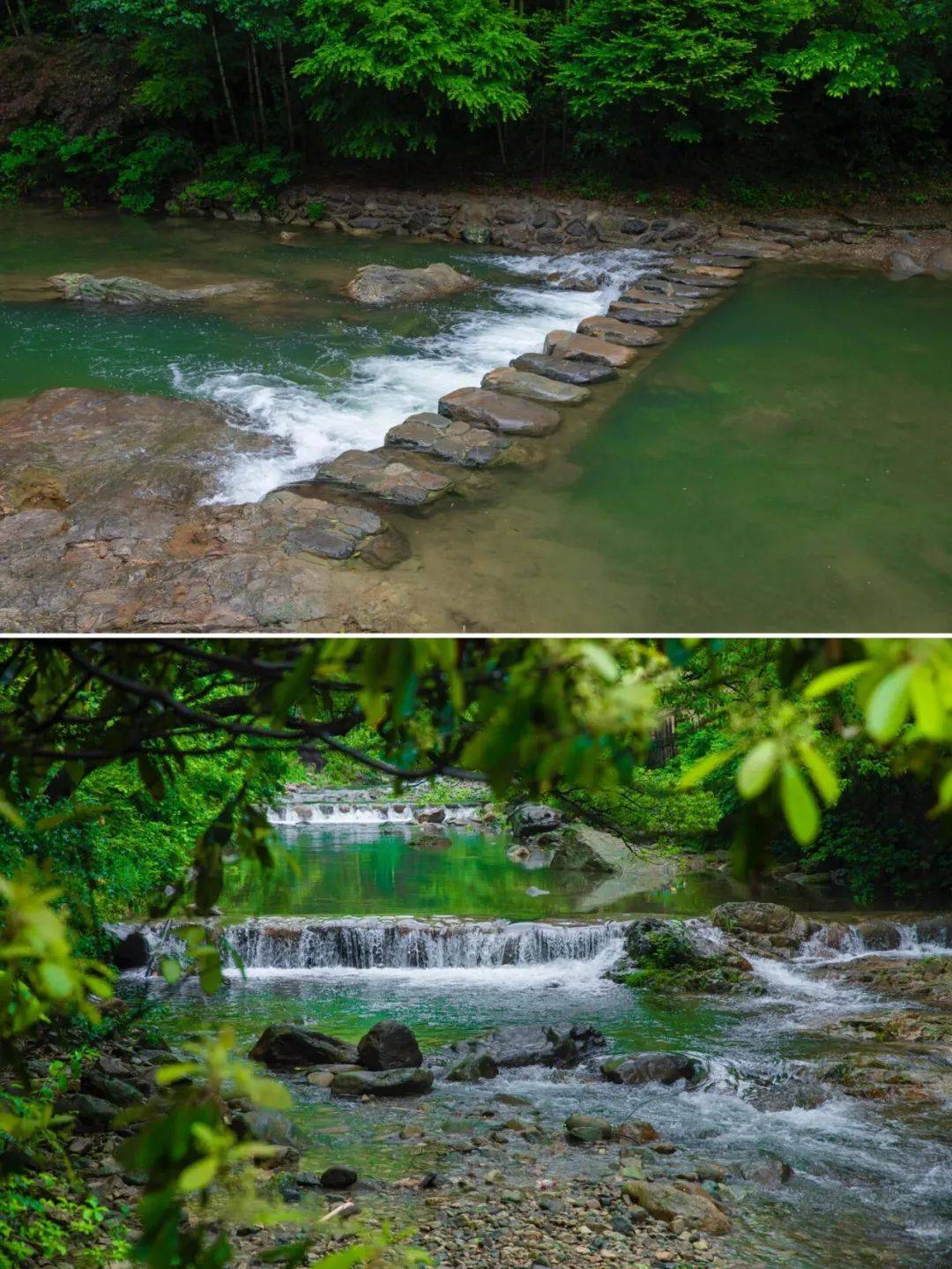 25漫步芝林古道清凉玩水浙东小九寨水中撒欢自然峡谷清凉一夏