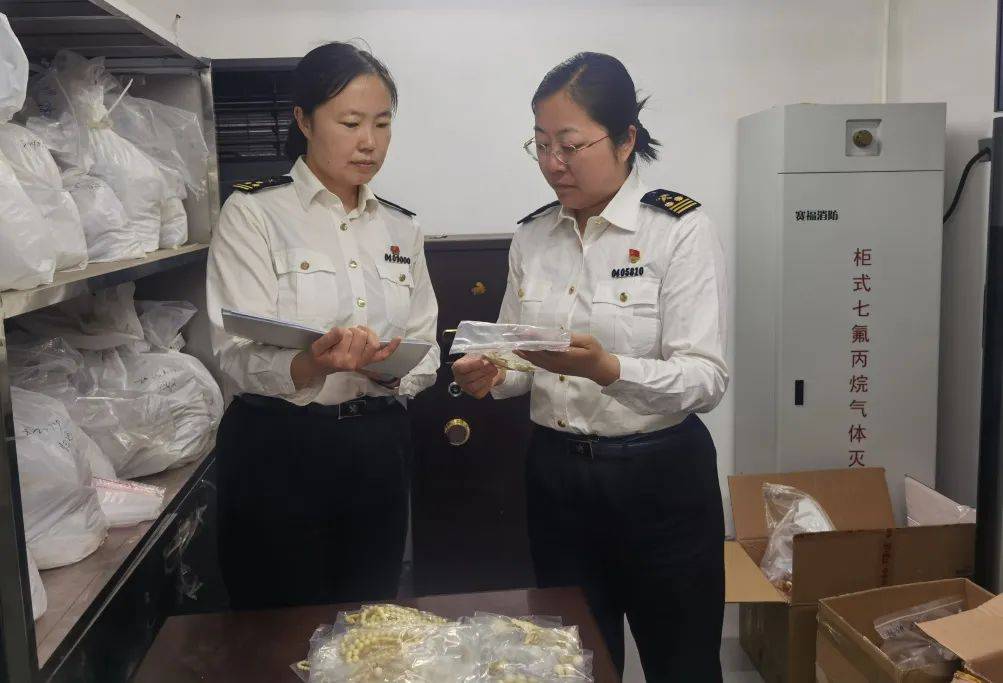 石家庄海关向河北省林业和草原局移交65件象牙制品 石家庄海关向河北省林业和草原局移交65件象牙制品