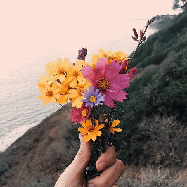 真正的好女人，连朋友圈都很特别