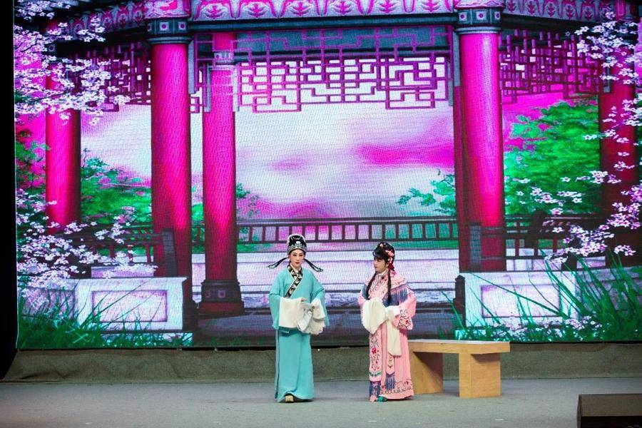 2025年全市社会文艺团体优秀作品展演圆满完成