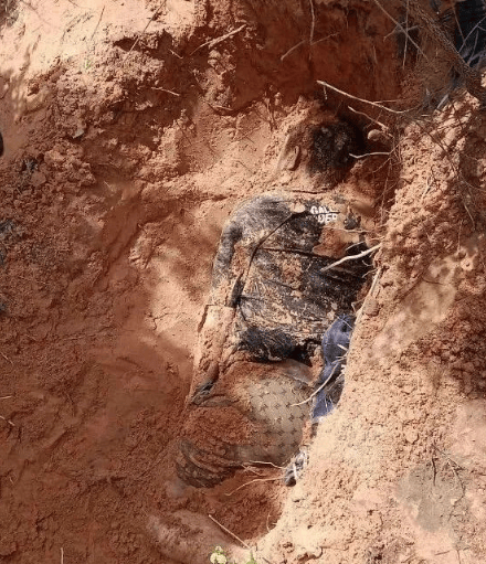 柬埔寨再现埋尸案