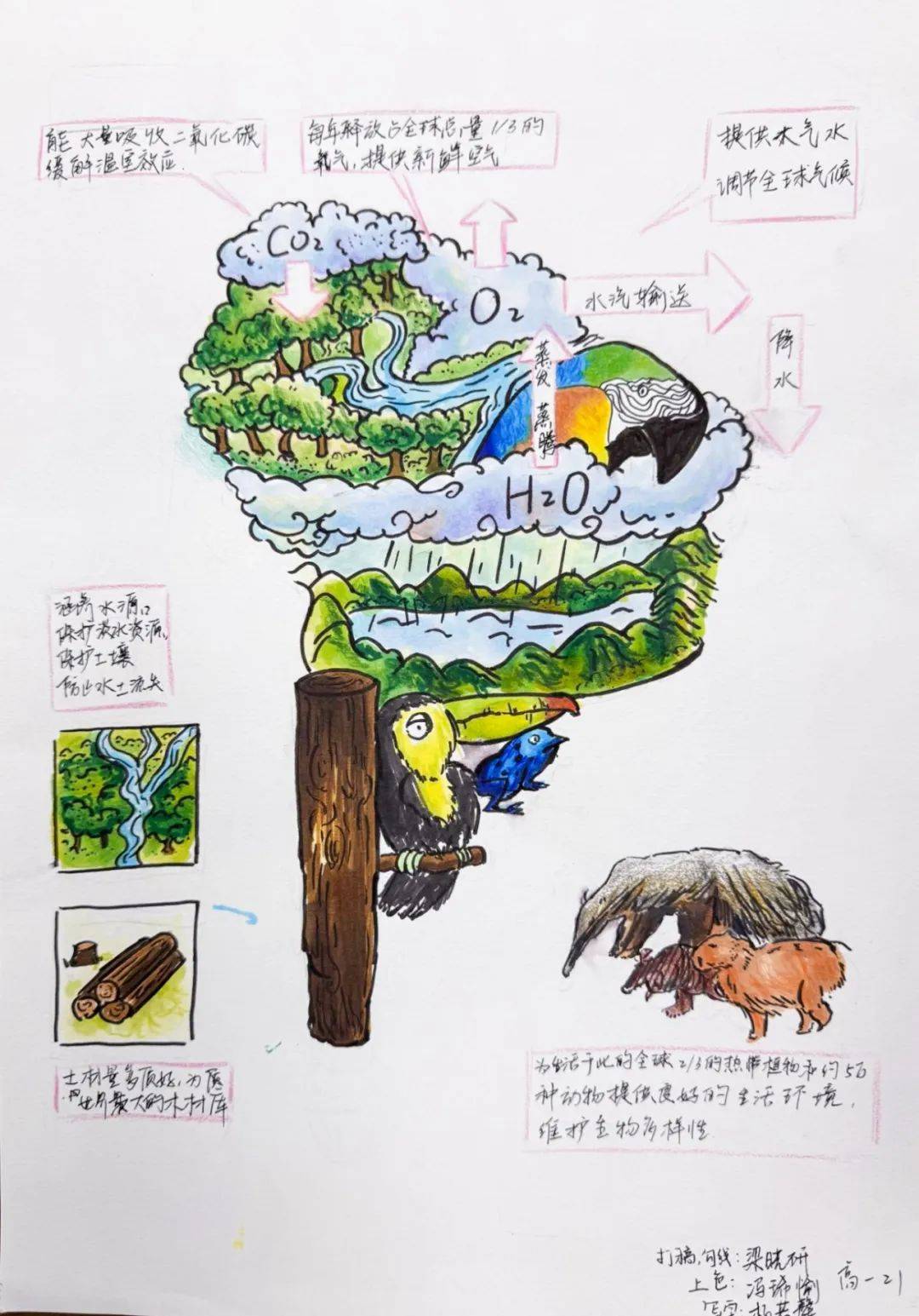 高中地理科三绘图题
  第2张 高中地理科三绘图题
  第2张