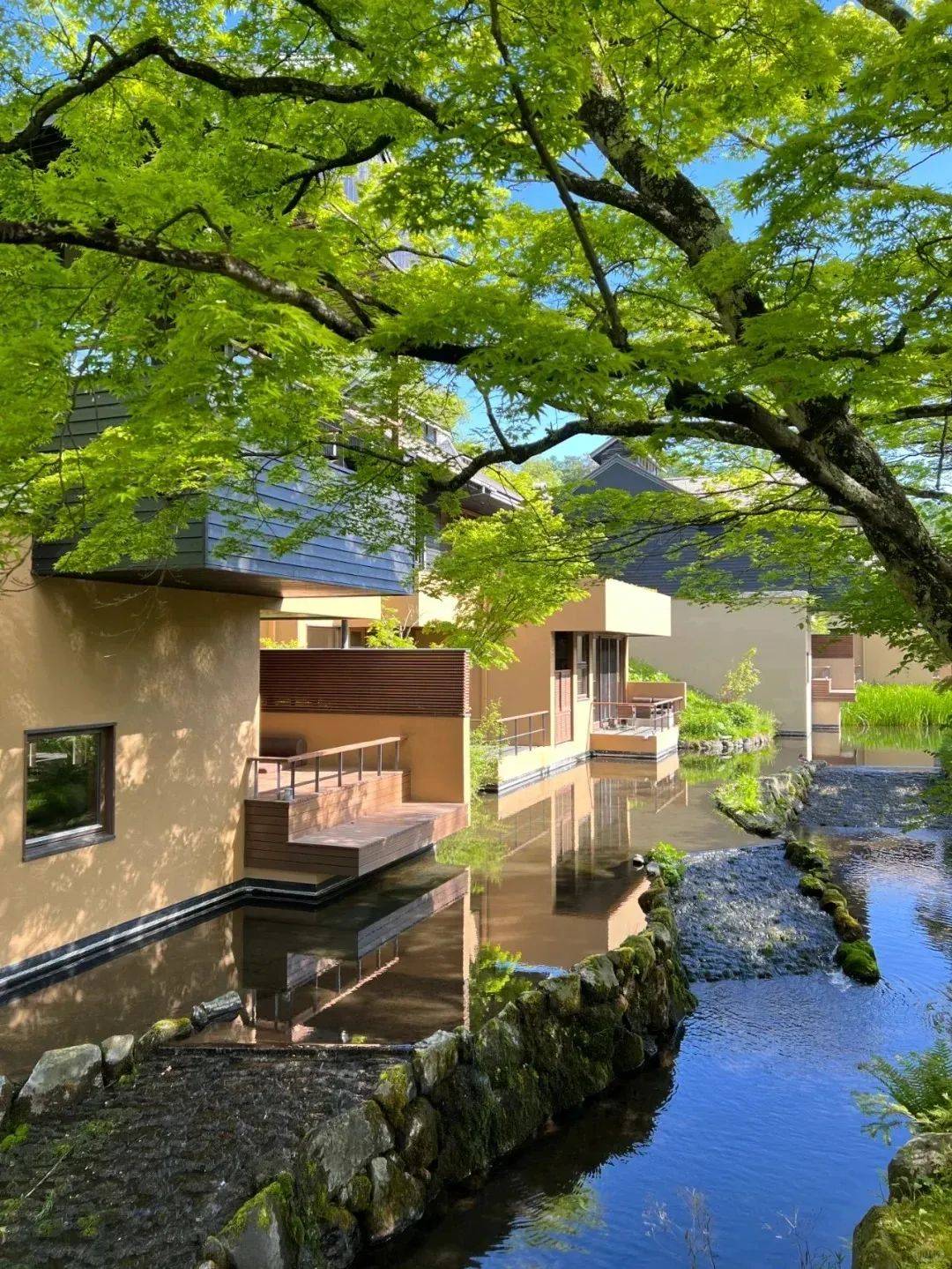 日本顶级隐奢酒店:自然归隐的静谧空间