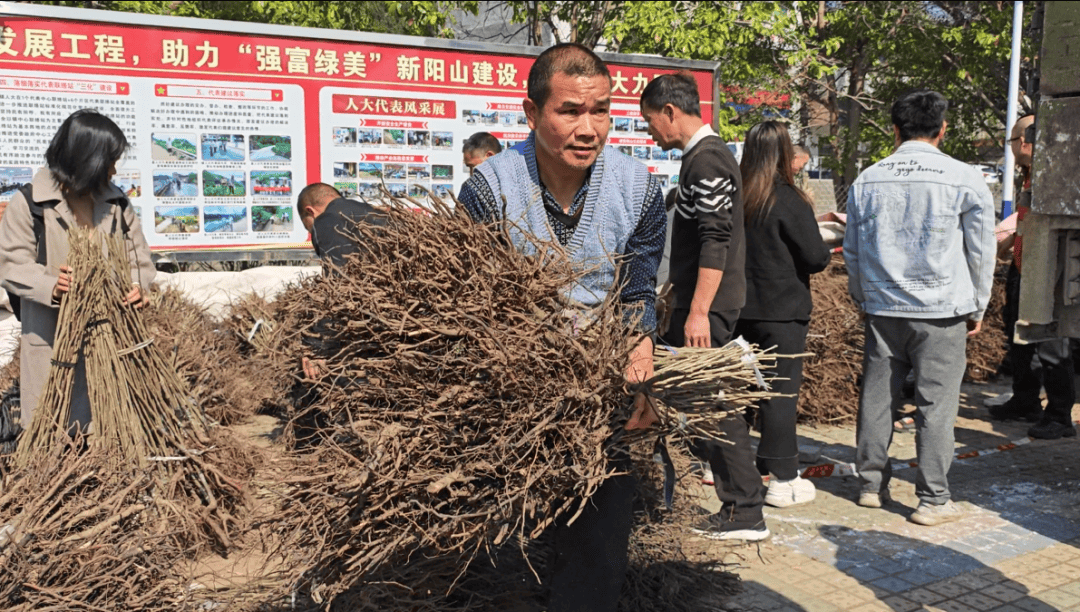 获评"全国文明镇",阳山县岭背镇为什么能?
