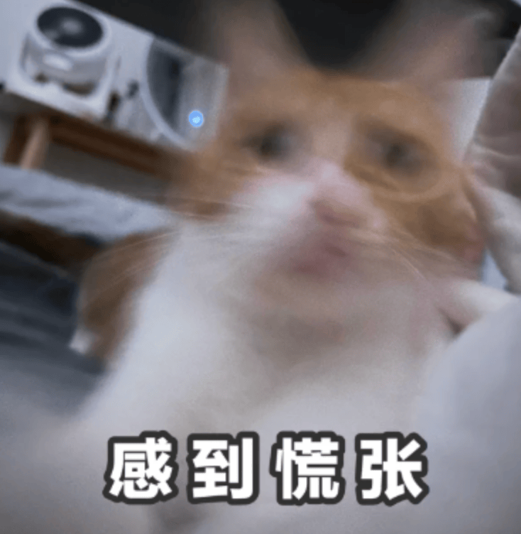 不骗各位！孩子 3 岁前，真的能看到大人看不到的东西……