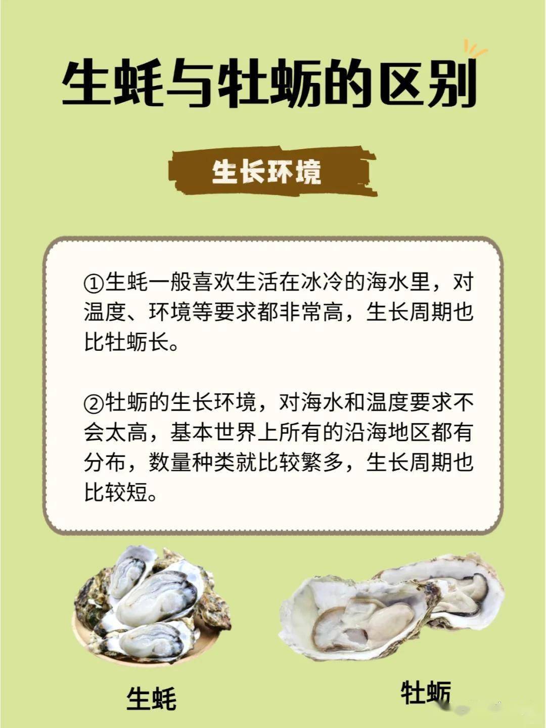 生蚝和牡蛎的区别,90%的人都搞错了!让我来为大家一次性揭晓吧