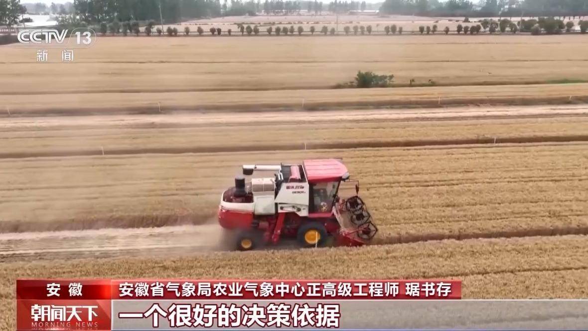 气象预报加上数字化监测 小麦“颗粒归仓”有了“最强大脑”