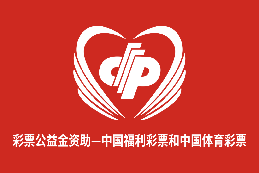 2024年8月中央专项彩票公益金支持青年社会组织服务社区青少年"伙伴