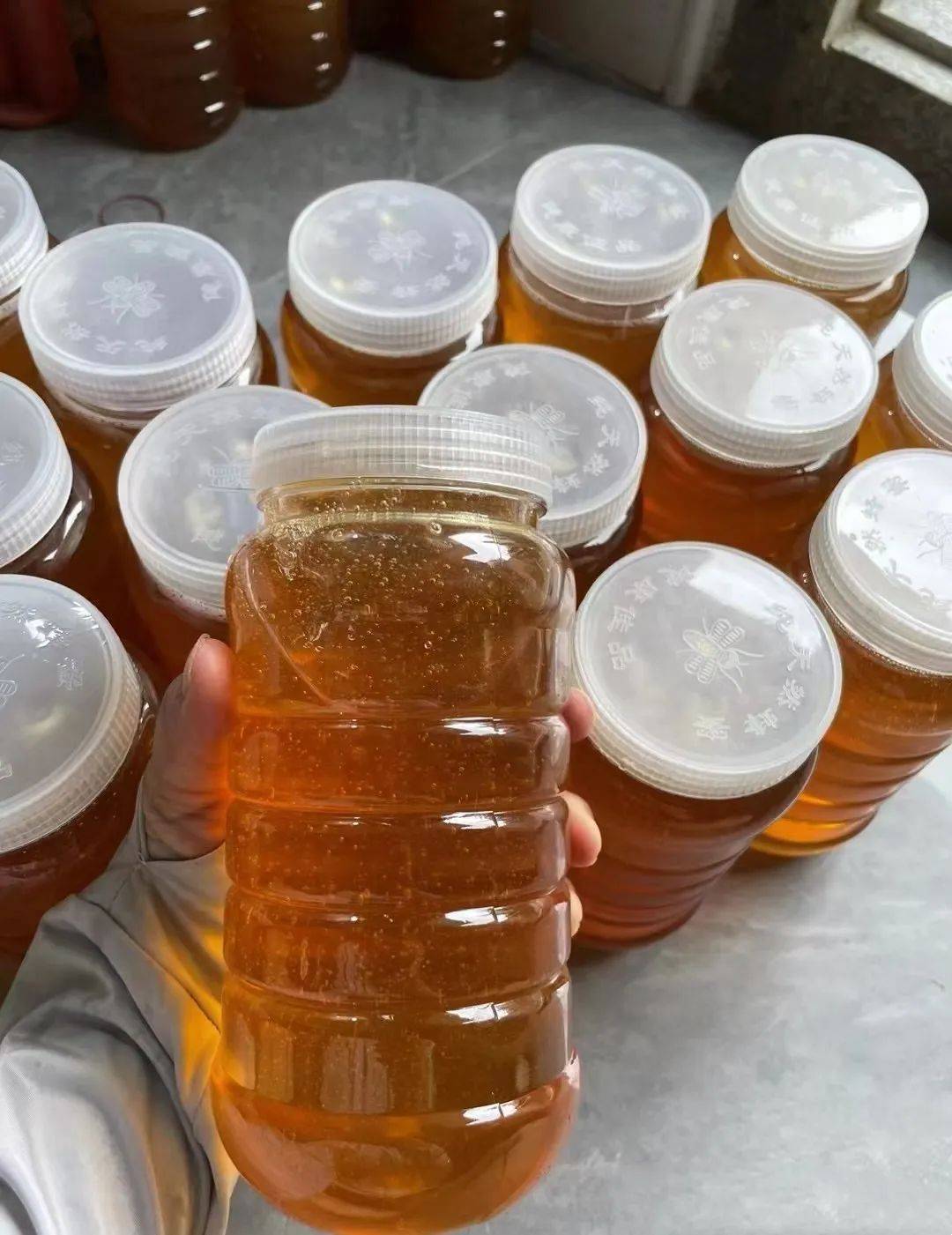 做梦梦到蜂蜜和蜜蜂在家里爬(梦见密蜂在家)