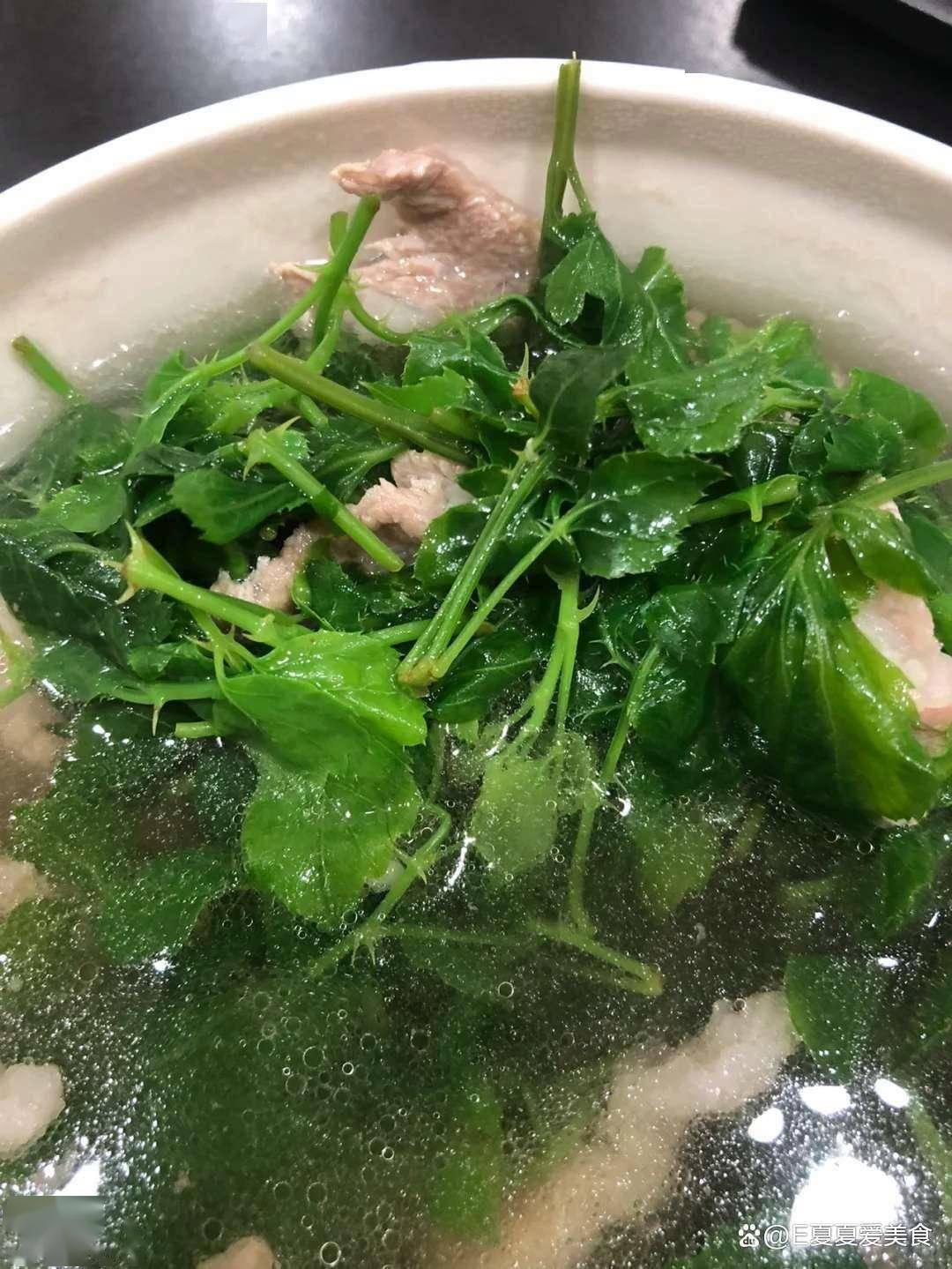 夏天使劲吃这菜一清热解毒二消脂祛湿三败火当季别错过