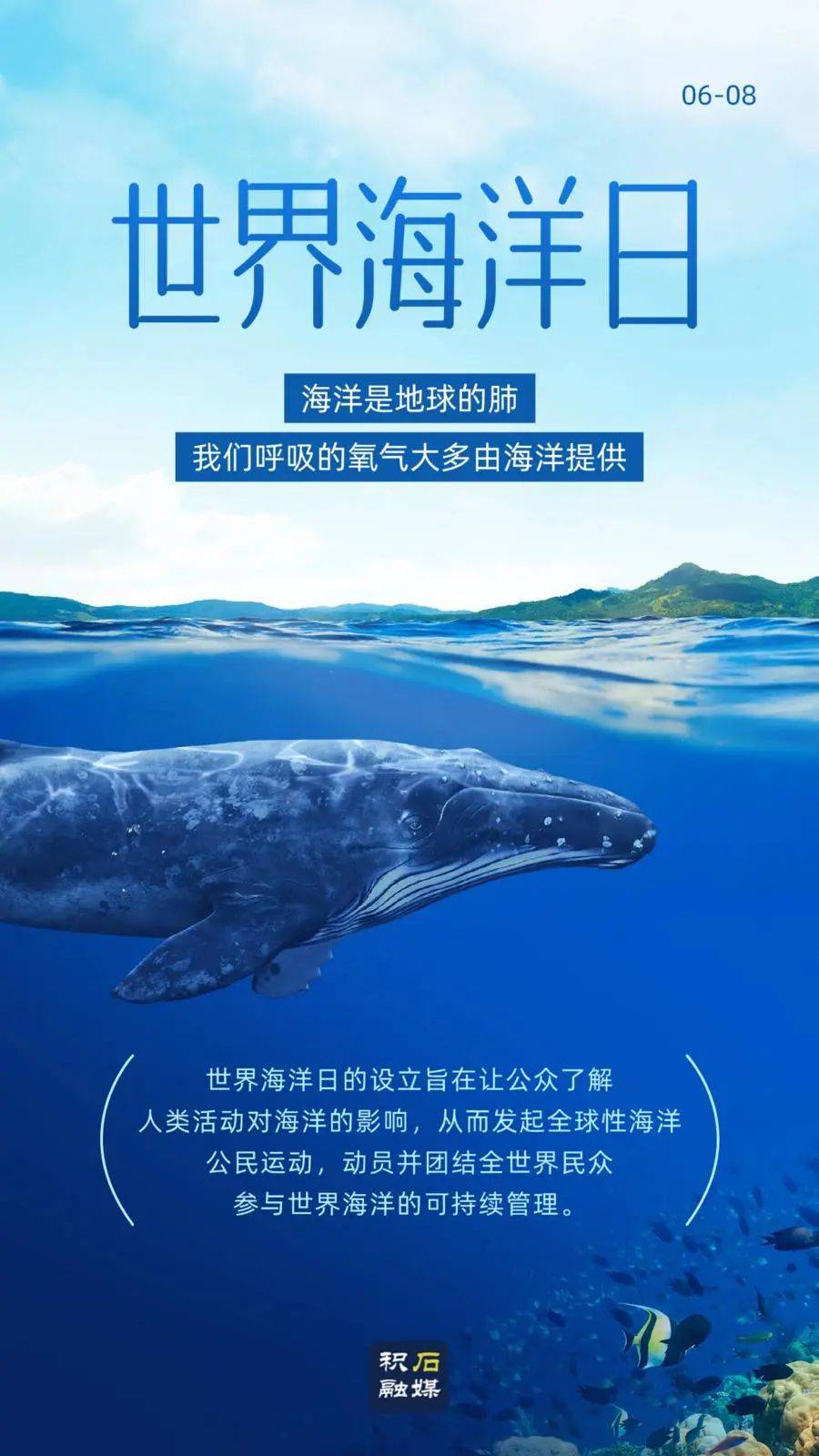 世界海洋日丨我们的海洋 我们的责任