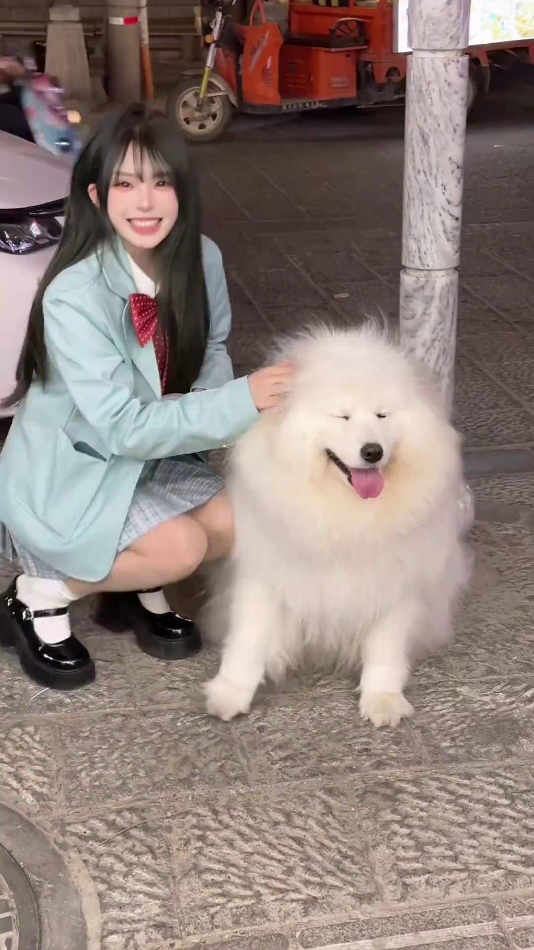 可爱的星狗,香香的小熊 星狗 不养狗不知道养狗的乐趣