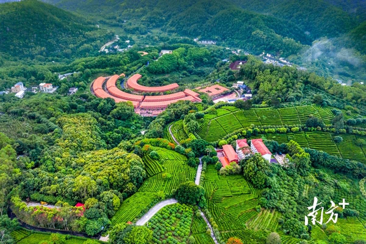 宜游梅县 文旅景点破圈出彩