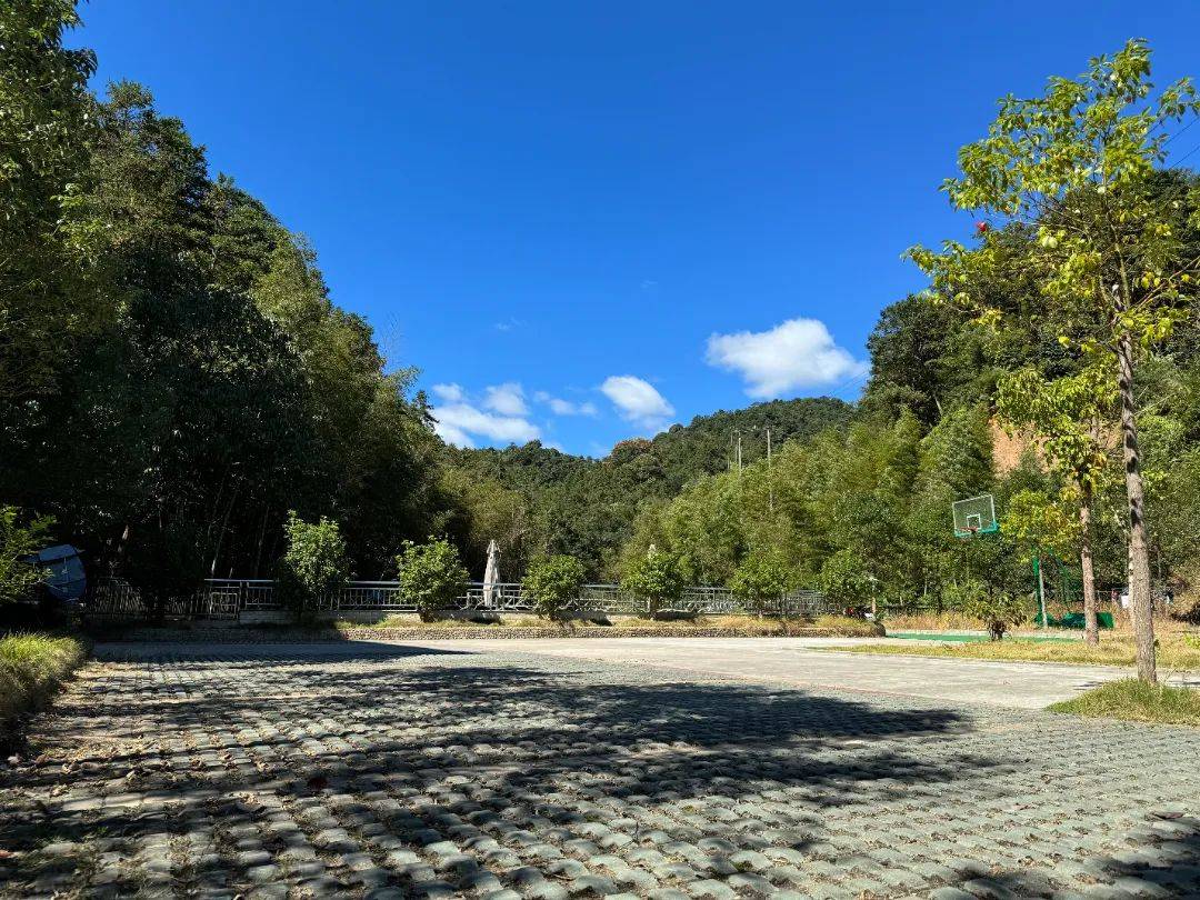 南昆山生态旅游区下坪社区:激活生态密码,打造