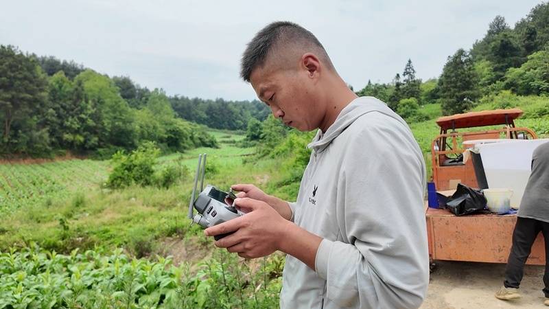 仁怀：“无人机飞防＋技术指导”提升烤烟管护效率