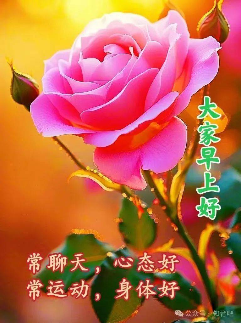 15张特漂亮的大家早上好图库,祝福问候,一切美好!