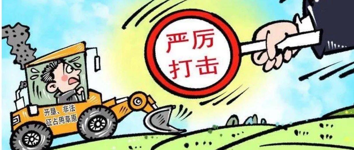 扎实开展毁林毁草整改图斑“回头看” 严防毁林毁草势头反弹_工作_整治_违法