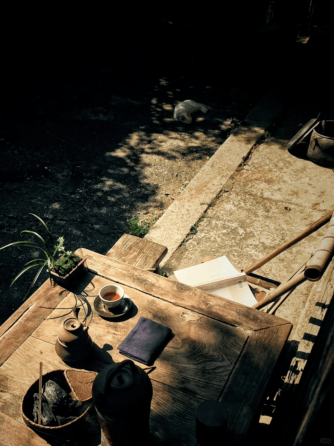 本真，本真语文