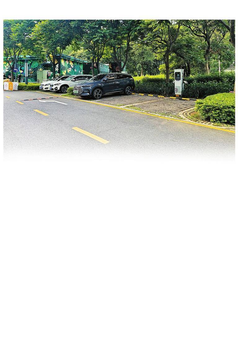 网传深圳热门公园停车位遭黄牛倒卖 记者实地调查 放号秒空,公园停车位被谁“截胡”? 网传深圳热门公园停车位遭黄牛倒卖 记者实地调查 放号秒空,公园停车位被谁“截胡”?