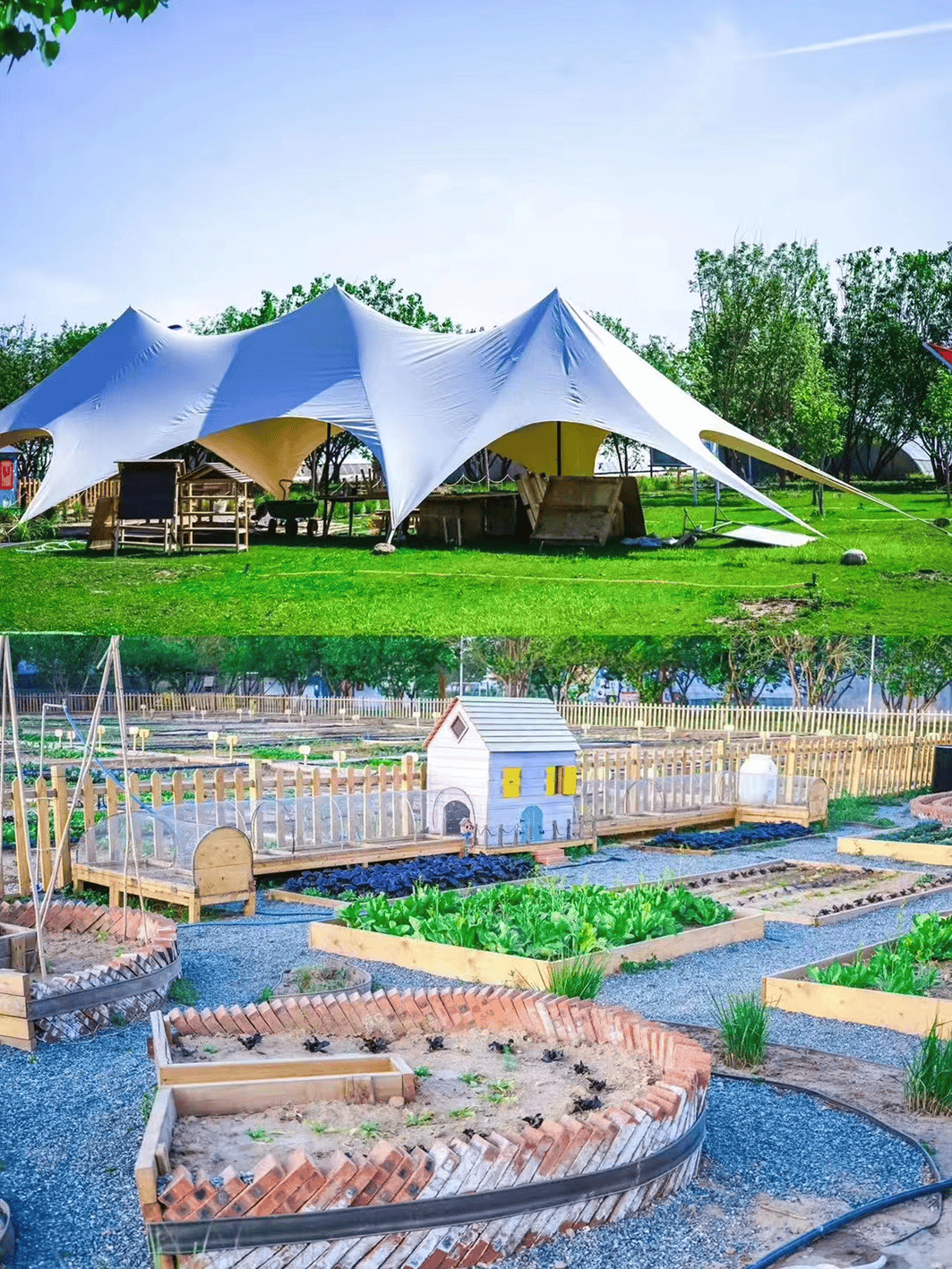 365 极致产品设计,这个亲子农场7年服务37万组家庭!