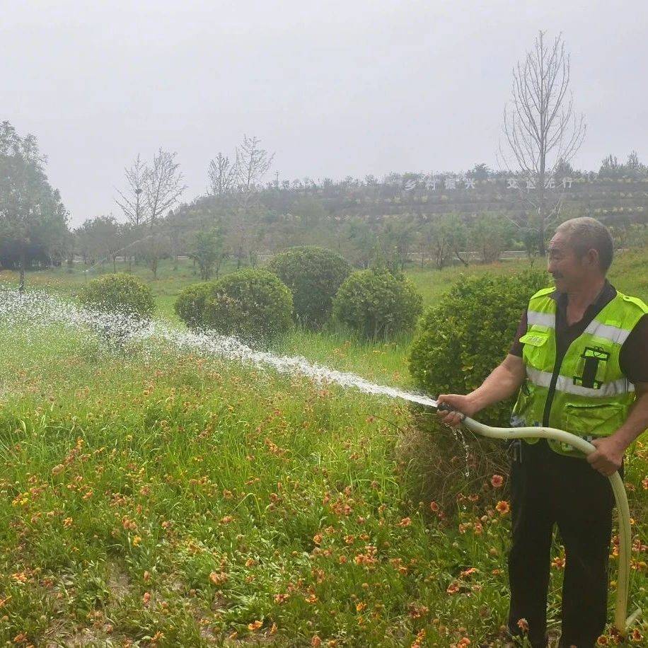 View of Image result for Voice controlled smart irrigation system
