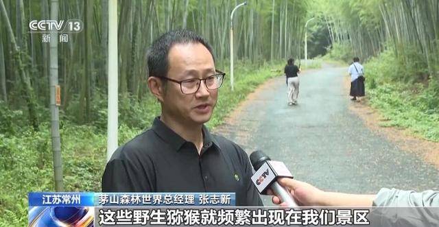 _泼猴视频_泼猴什么意思